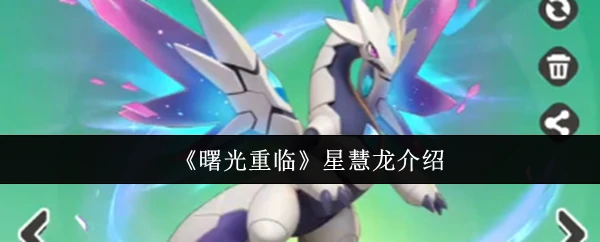 星慧龙介绍