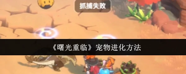 宠物进化方法