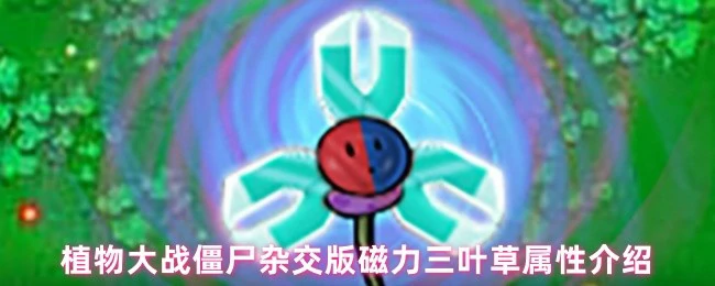 磁力三叶草属性介绍