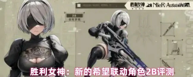 2B评测