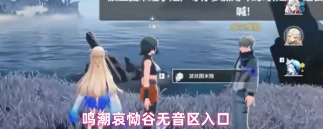 哀恸谷无音区入口