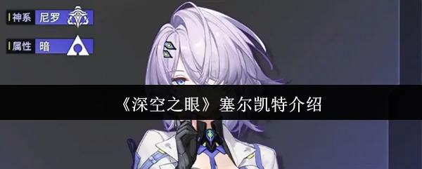 塞尔凯特介绍