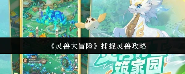 捕捉灵兽攻略