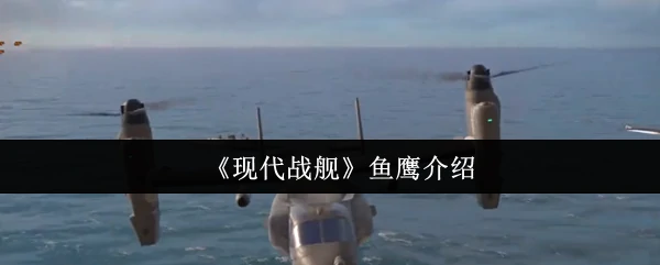 鱼鹰介绍