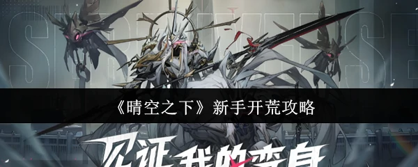 新手开荒攻略