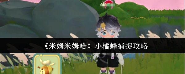 小橘蜂捕捉攻略