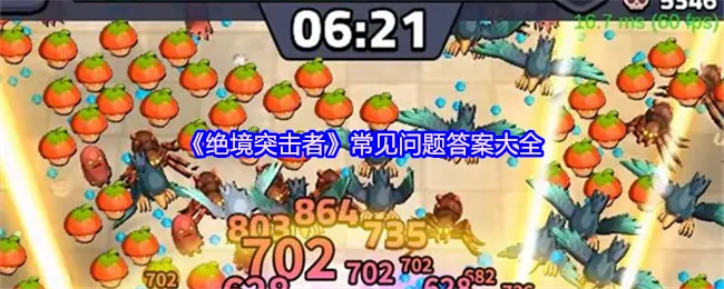 常见问题答案大全