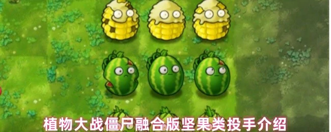 坚果类投手介绍