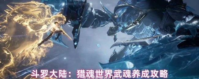 武魂养成攻略