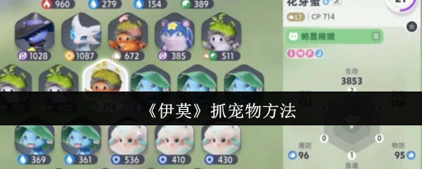 抓宠物方法