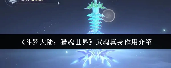 武魂真身作用介绍