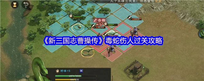 毒蛇伤人过关攻略