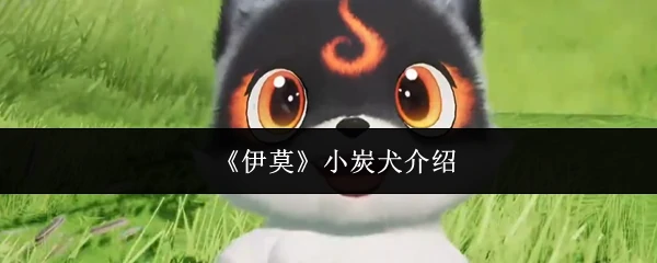 小炭犬介绍