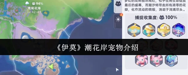 潮花岸宠物介绍