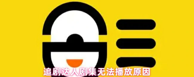 剧集无法播放原因