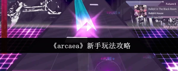 新手玩法攻略