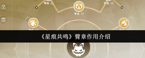 臂章作用介绍