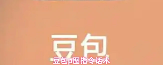 p图指令话术