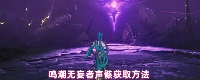 无妄者声骸获取方法