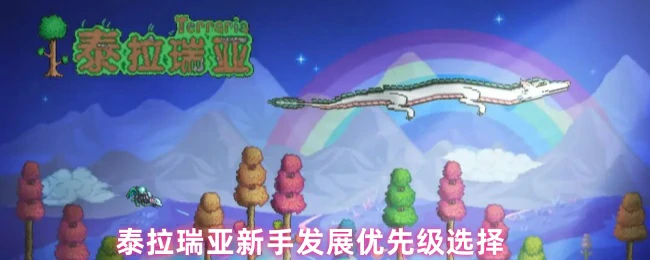 新手发展优先级选择