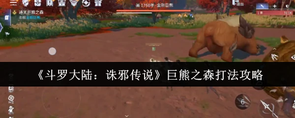 巨熊之森打法攻略