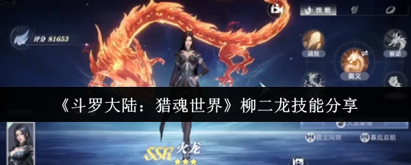 柳二龙技能分享