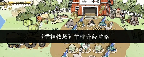 羊驼升级攻略