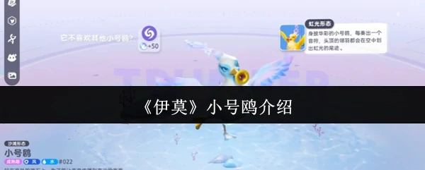 小号鸥介绍