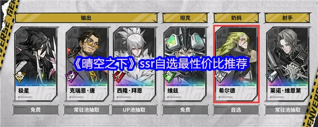 ssr自选最性价比推荐