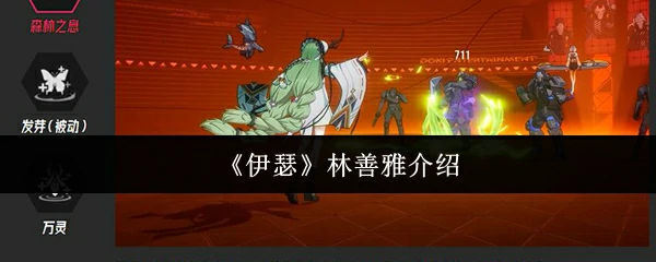 林善雅介绍