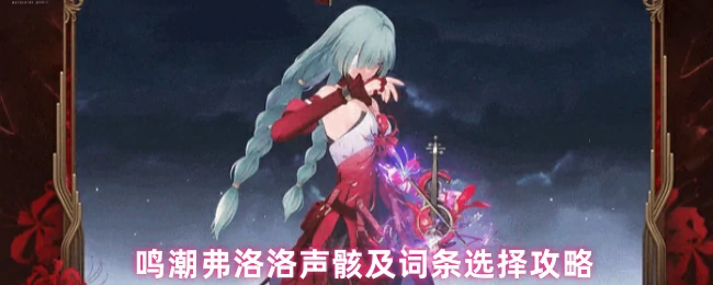 弗洛洛声骸及词条选择攻略