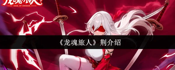 荆介绍
