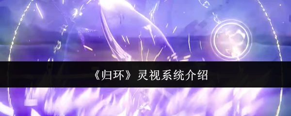 灵视系统介绍