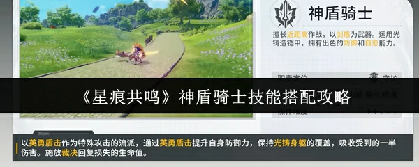 神盾骑士技能搭配攻略