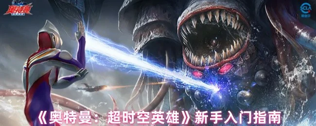 新手入门指南