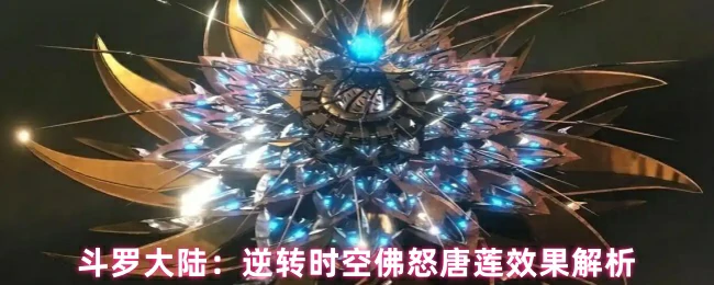 佛怒唐莲效果解析