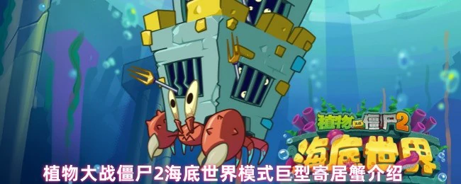 巨型寄居蟹介绍