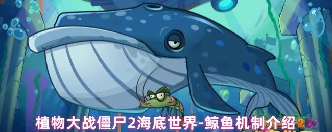 鲸鱼机制介绍