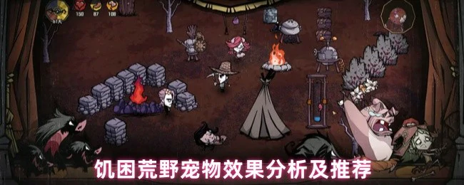 宠物效果分析及推荐
