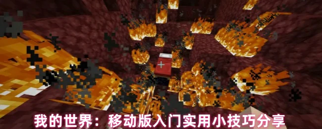 入门实用小技巧分享