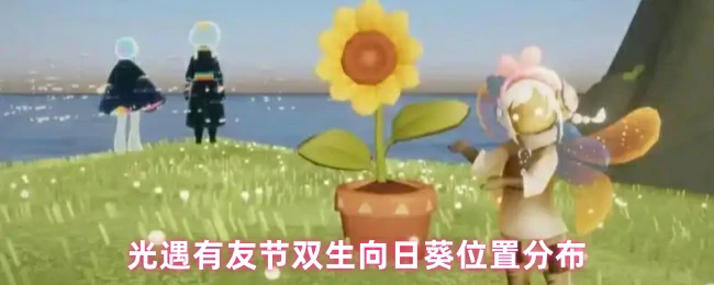 双生向日葵位置分布