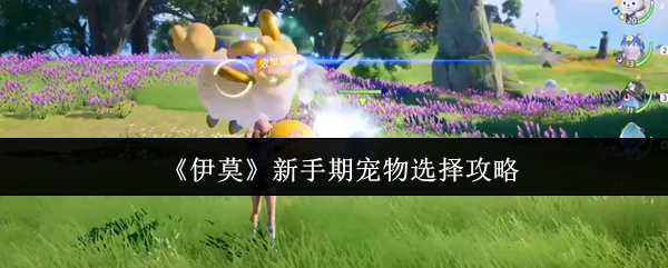 新手期宠物选择攻略