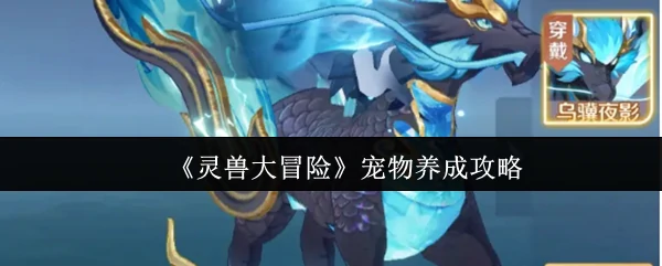 宠物养成攻略