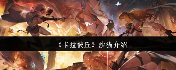 沙猫介绍