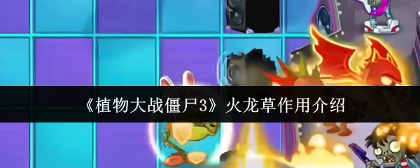 火龙草作用介绍