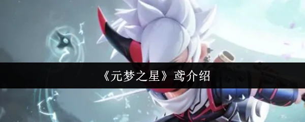 鸢介绍