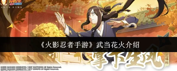 武当花火介绍