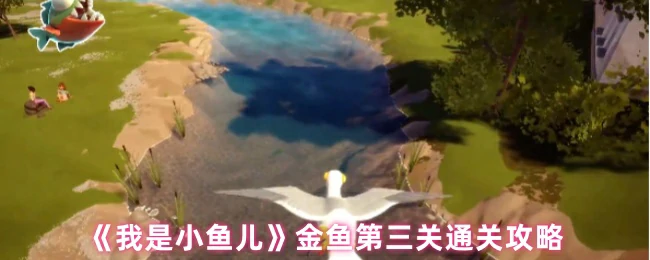 金鱼第三关通关攻略