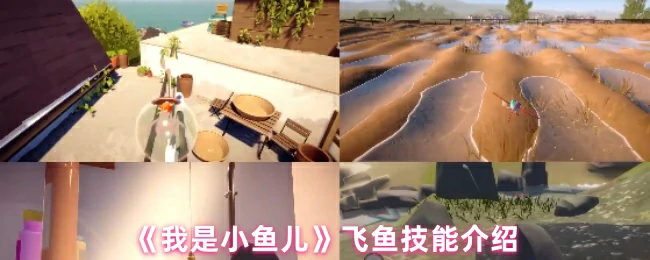 飞鱼技能介绍