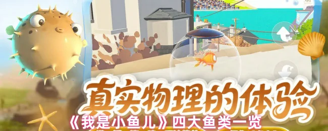 四大鱼类一览